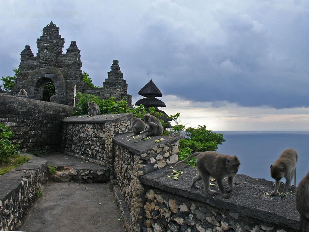 Bali Green Hills Pecatu Eksteriør billede